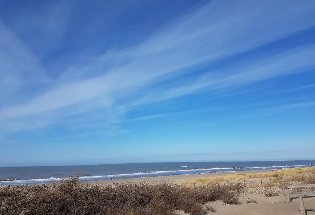 B&B Beach Inn-1