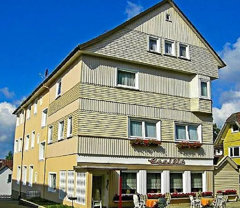 Pension Cecilie-1