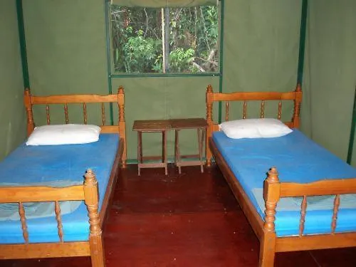 Jungle Lodge-1