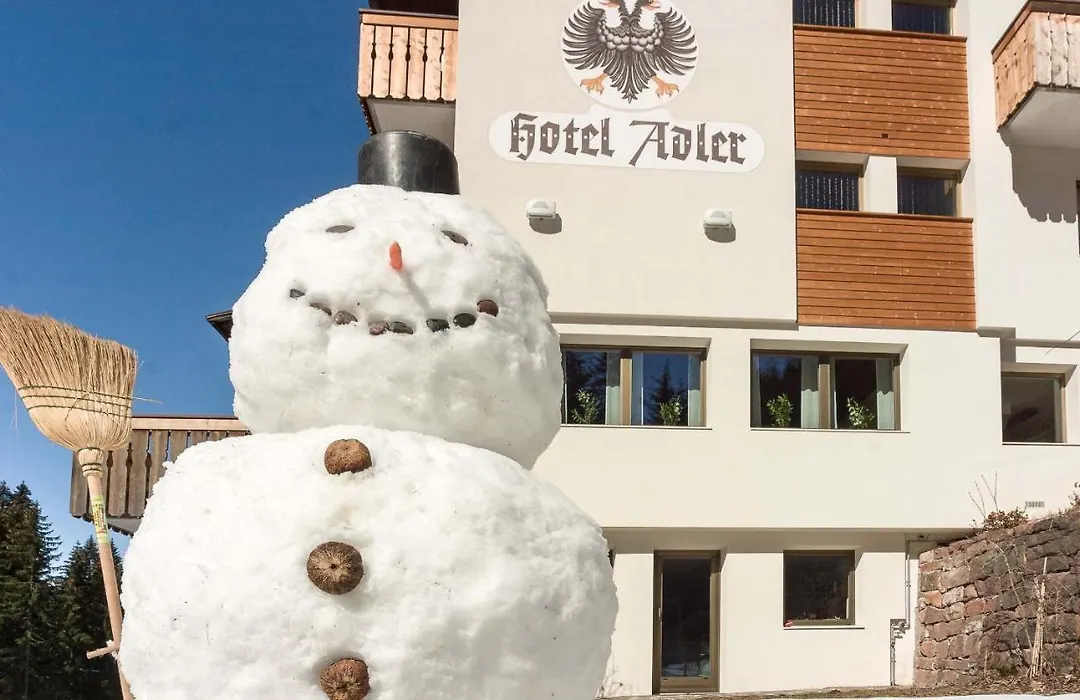 Hotel Adler Carezza-1