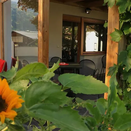 B&B Frühlingsheim-3