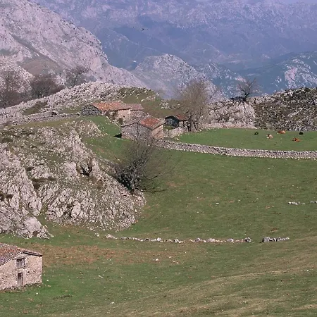 Hotel Picos de Europa-3