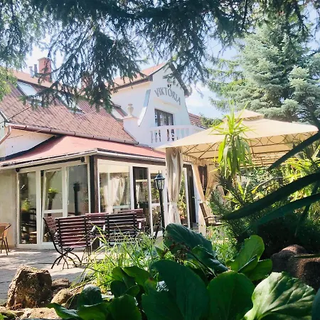 Hotel Viktoria-2