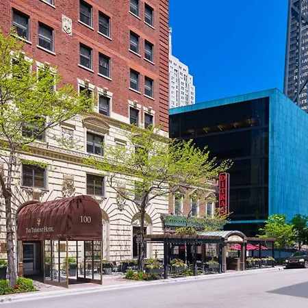 Selina Chicago-3