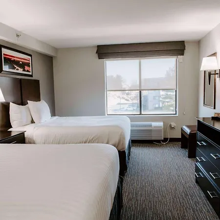 Wingate By Wyndham - Dulles International-3