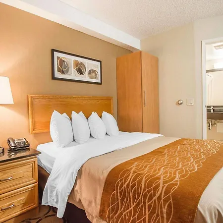 Comfort Inn-2