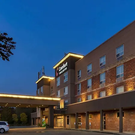 Comfort Inn & Suites-3