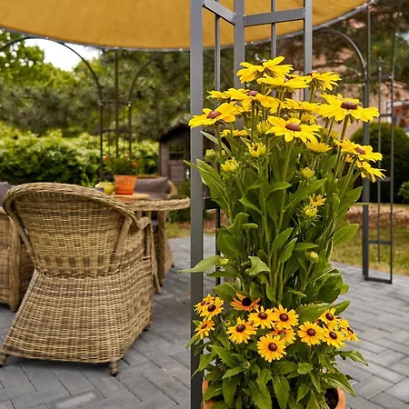Vitalhotel Am Stadtpark Superior-2