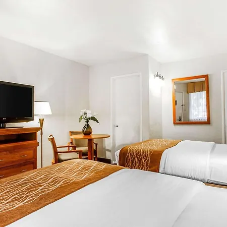 The Inn At 1252 Monterey-2