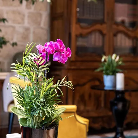 Hotel Minerve-3