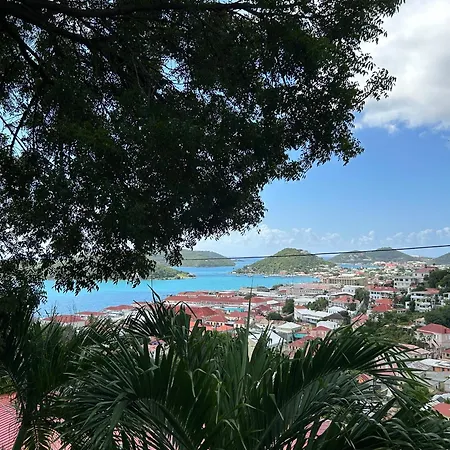 The Green Iguana Hotel-3