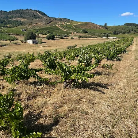 Boutique Finca esencial-2