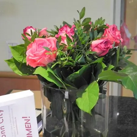 Hotel Bonn City-3