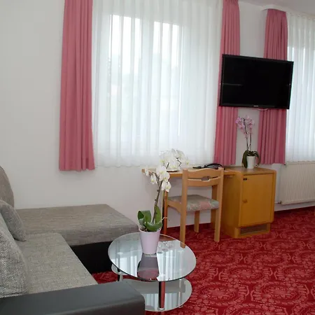 Hotel Goldner Anker-2