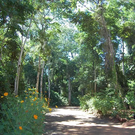 Hotel Sol Cataratas-2