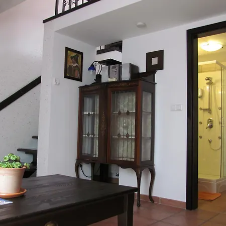 Crni Baron Pension Black Baron-3