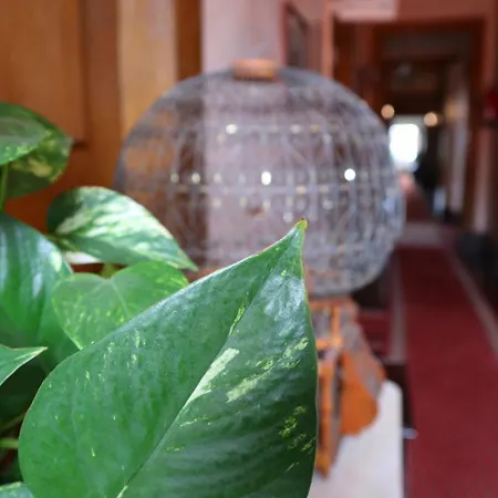 Alegre - Bussaco Boutique Hotel-3