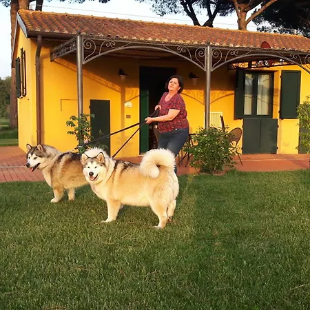 La Fattoria di Tirrenia-2