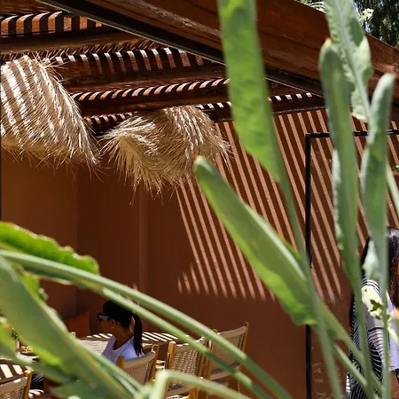 Riad Pompon-3