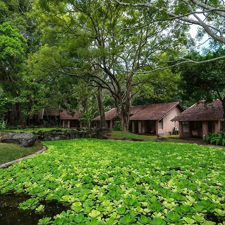 Sigiriya Village-3