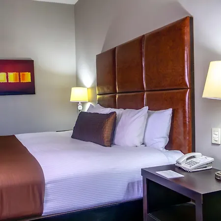 Best Western Plus Monterrey Airport-2