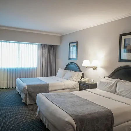 Plaza Real Suites Hotel-3