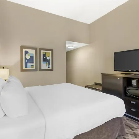 Best Western Plus Travel Hotel Toronto Airport-3