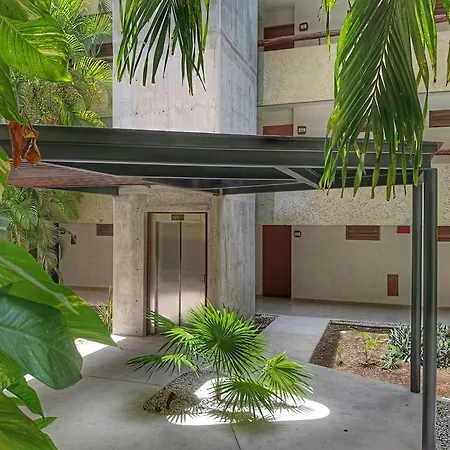 Casa Del Mar Cozumel Hotel & Dive Resort With Free Access To An Exclusive Beach Club-2
