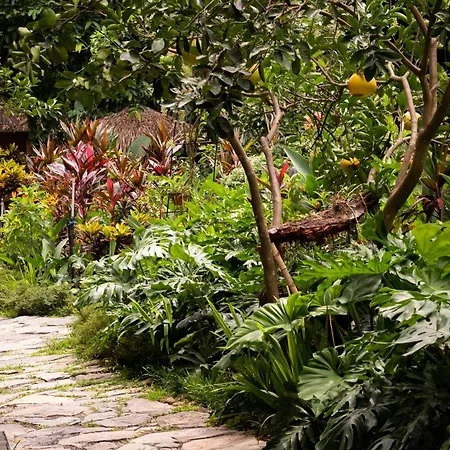 Trang An Ecolodge-2