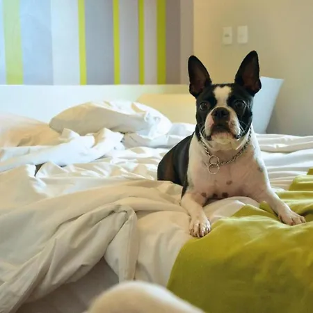 Dmax Hotel-2
