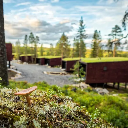 Arctic Treehouse Hotel-3