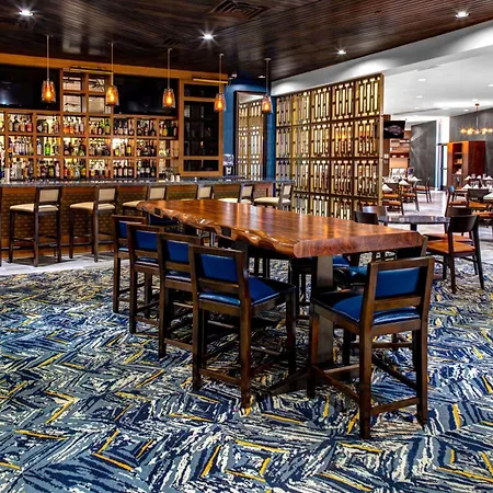 Doubletree By Hilton Arlington Dfw South-3