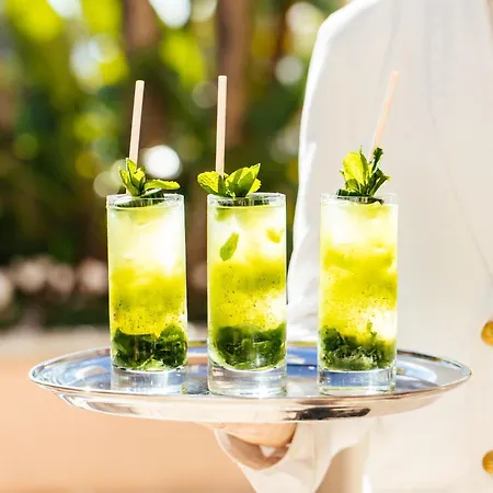 The Beverly Hills Hotel - Dorchester Collection-2