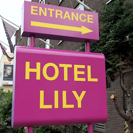 Hotel Lily-3