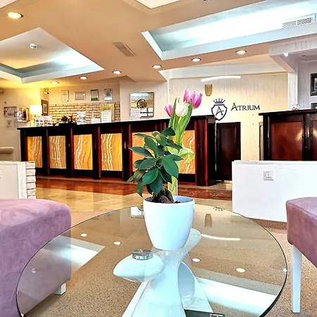 Atrium Hotel Bucharest City Center-3