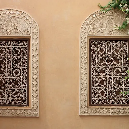 Riad Lorsya-3
