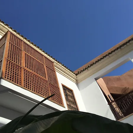 Riad Up-3