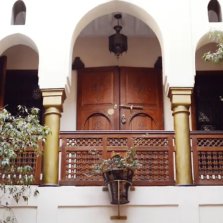 Riad Wow-3