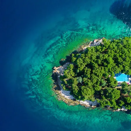 Villa Galijot Plava Laguna-2