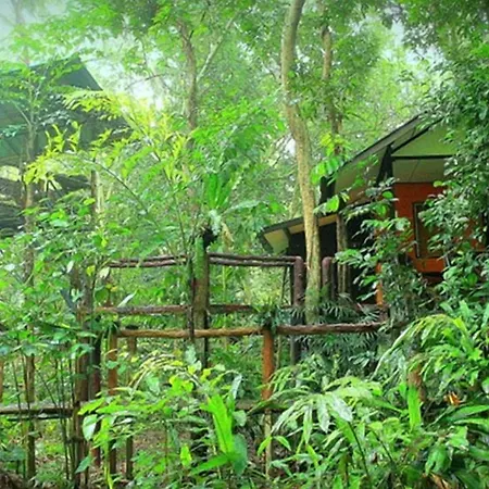 Khao Sok Tree House Resort-2