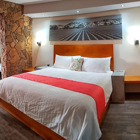 Entre Vinedos By Hotel Boutique Valle De Guadalupe-2