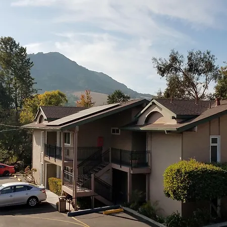 Olive Tree Inn & Suites, A Howard Johnson By Wyndham-2