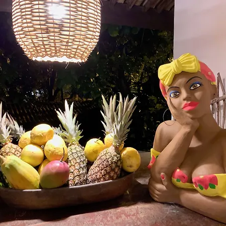 Pousada Tartaruga Boutique Hotel-2