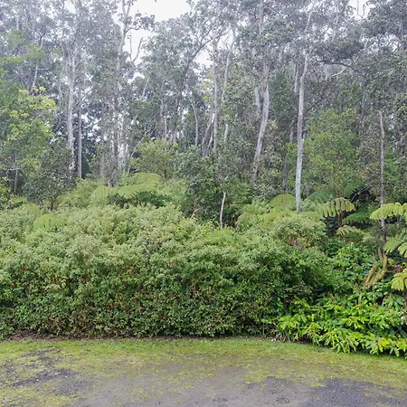 Volcano Forest Inn-2