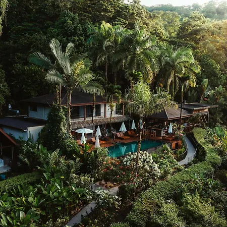 Oxygen Jungle Villas & Spa (Adults Only)-2