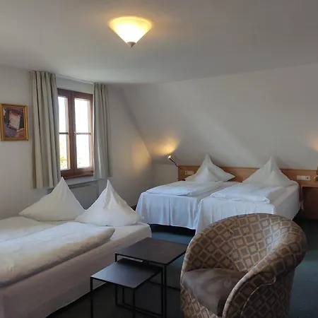 Hotel Restaurant Adler-2