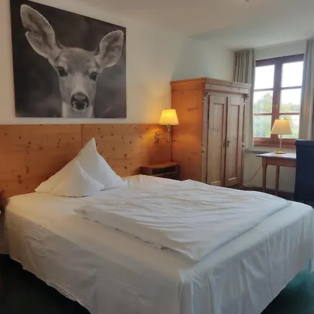 Hotel Restaurant Adler-3