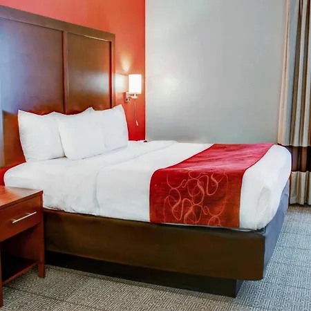 Comfort Suites Tyler South-3
