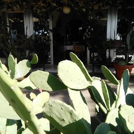 Ristorante Hotel Mira-3