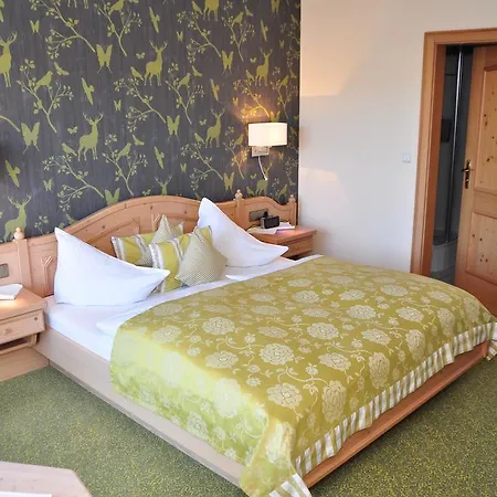 Hotel Sauerländer Hof-3
